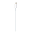 Picture of Apple USB-C to Lightning Cable (1 m)